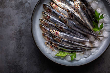 Close-up of fresh anchovies on the plate with ice and parsley.  Copy space.の写真素材