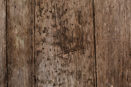 Dark wooden background natural texture with scratches and cracks, destroyed by wood boring insects.の写真素材