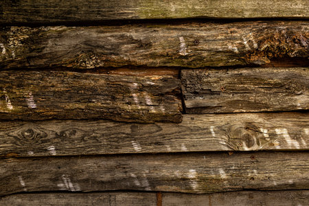Wood texture background, aged wooden brown surface with lights spots, old fence.の写真素材