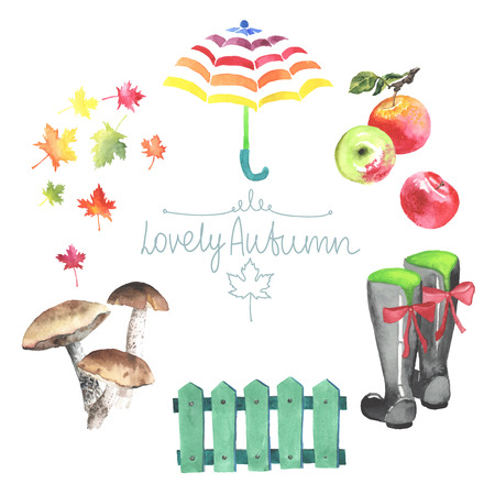 Set of watercolor autumn elements. Mushrooms, leaves, apples, paling, rubber boots. All object made in vector. Each one is separately.のイラスト素材