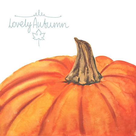 Hand drawn watercolor pumpkin on white background with place for text.の写真素材