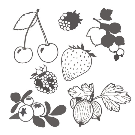 Set of hand painted cartoon unpainted berries.のイラスト素材