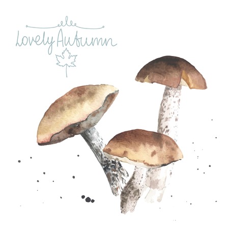 Set of watercolor mushrooms. Brown cap boletus. All object made in vector. Each one is separately.のイラスト素材