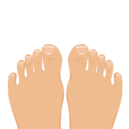 illustration of a woman barefoot. Top view. The feet with a neat pedicure isolated on white.のイラスト素材