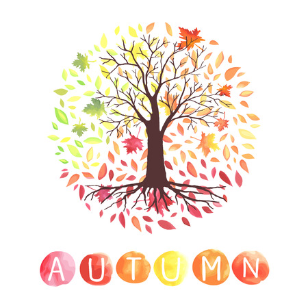 Autumn tree with falling down leaves in a circle shape.のイラスト素材