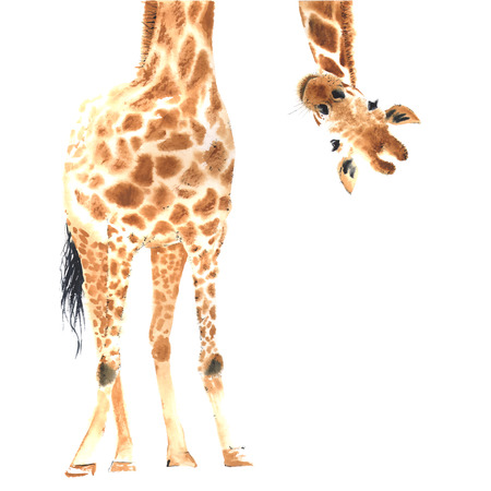 Realistic watercolor giraffeのイラスト素材