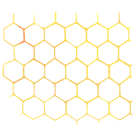Watercolor Honeycomb on whiteの写真素材