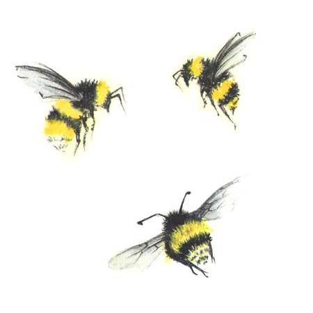3 small watercolor beesの写真素材