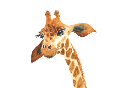 A poster with a baby giraffe. Watercolor cartoon giraffe tropical animal illustration. Jungle exotic summer designの写真素材