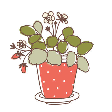 Potted strawberries bloom and bear berries. Vector illustration isolated on white background. line art. isolated on white background.のイラスト素材