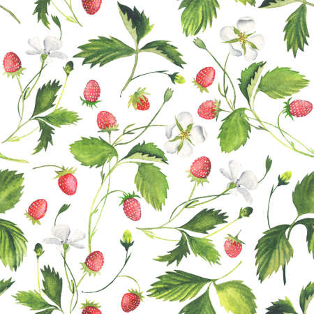Strawberry seameless pattern. Watercolor.の写真素材