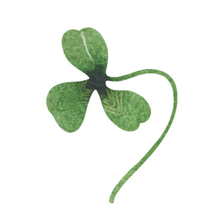 Watercolor clover leaf isolated on whiteの写真素材