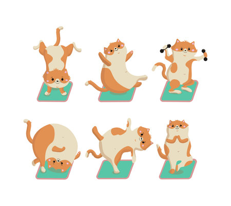 Athletes cats. Red kittens do exercises on yoga mats. Fitness, sports for animals.のイラスト素材