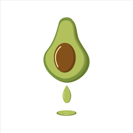 Avocado. Slice, juicy fruit. Vegetable, a natural plant product. Vegetable oil, vector illustration.のイラスト素材
