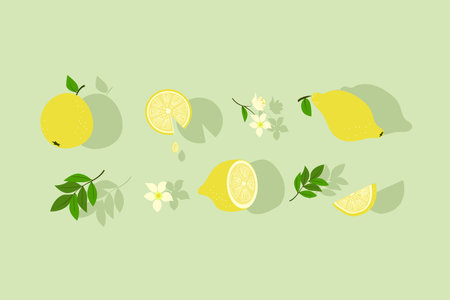Set of lemons on a green background. Whole lemons and lemon wedges with leaves and flowers. Vector illustration. Isolated background.のイラスト素材