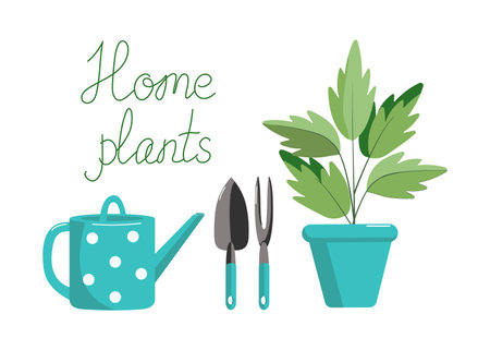 A set of gardening tools, a watering can , house plants. Isolated on a white background. Colored flat vector illustration. Floristics and gardening, hobbies, outdoor activities. Horticulture, agronomy sign.のイラスト素材