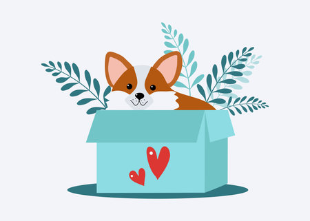 Cute Dog in a box. Cartoon Puppy Hearts, Valentine's Day card design. Cheerful pet, Corgi breed. Vector illustration. Background white, isolated.のイラスト素材