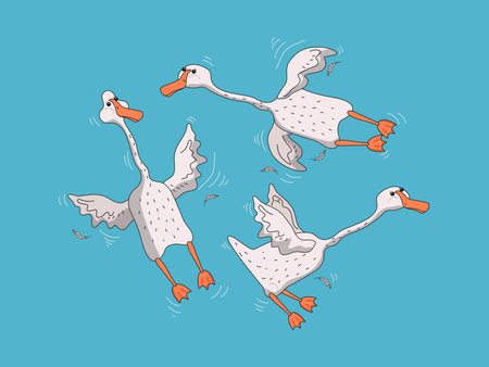 Set cute white geese. Funny goose birds in different poses. Birds and feathers icons. Vector flat cartoon illustration on isolated white background.のイラスト素材