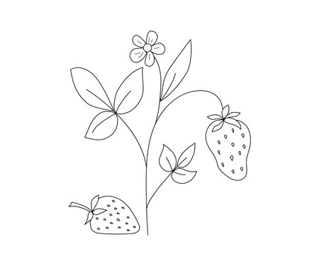 Abstract drawings of berries. Strawberry plant. Strawberry, doodle drawing, black and white sketch, hand drawn. Vector natural template for sticker, logo, diet concept, farmers market. Line icons.のイラスト素材