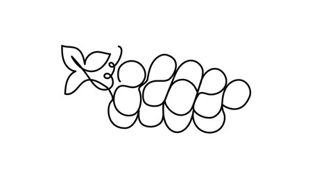 Grape. Drawing, linear icon. Berries, juicy summer fruit. Line art. Vector graphics, black and white. Background isolated.のイラスト素材
