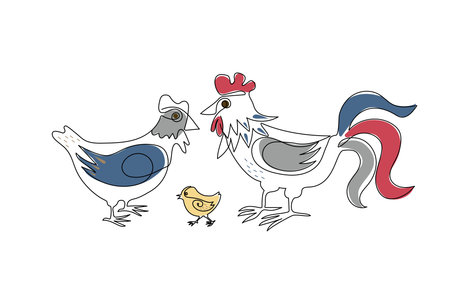 Set rooster, hen and chicken. Poultry, family. Pets and birds on farm. Graphic design modern...