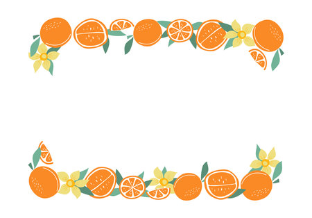 Oranges, frame. Fruit whole and cut in half, leaves, flowers. Citruses, natural food. Blank summer background with space for text. Color flat illustration. Isolated white background.のイラスト素材
