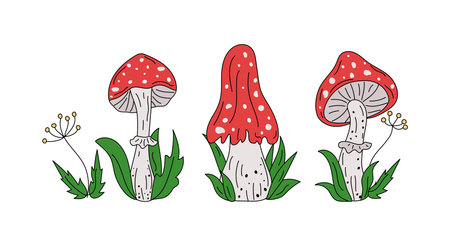 Set cartoon mushrooms. Amanita, fly agaric, mushrooms and leaves. Hand drawn icons, doodle drawings, summer nature illustration.のイラスト素材