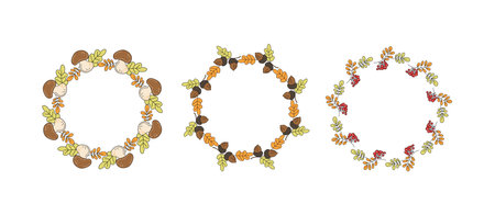 Set round frame, autumn banner. Wreath with oak leaves, acorns, mushrooms, rowan leaf, berries. Leaf fall. Hand drawn, doodle, drawing. Natural botanical background, postcard design, harvest festival, place for text.のイラスト素材