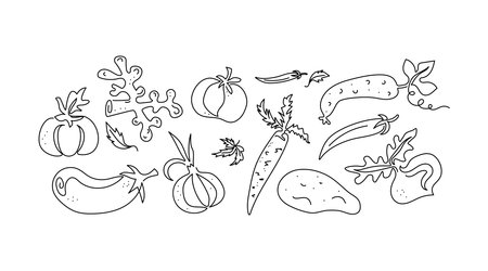 Set of vegetables, linear drawing. Line art, vector black and white graphics. Harvest, vegetable garden. Natural vegetarian food. Isolated background.のイラスト素材