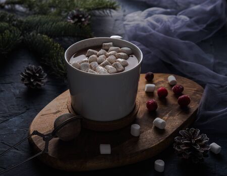 sweet cup of cacao with marshmallow and redberry on wood cutting board control light new year mood darkの写真素材