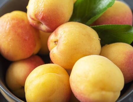 sweet delicious apricot on dark bowl grey table summer fresh fruitの写真素材