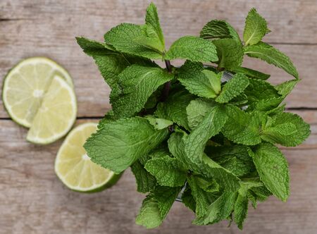 bunch fresh mint and  lime on rustic table village top view summer foodの写真素材