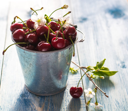 cherry berry on the metal  bowlon  wood blue background  summer fruit control morning light close up