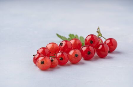 fresh sweet red currant on  blue background pure copy spaseの写真素材
