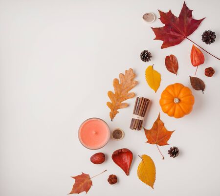 Autumn composition with orange  pumpkins, candle and  leaves maple and oak  on light  background. Image is  flat lay, top view, copy spaceの写真素材