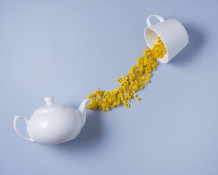 dry and yellow chamomile flowers spilled from a white teapot into a white cup on a blue background. Top view and copy spaceの写真素材