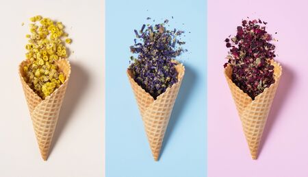collage of three waffle cones with dried tea roses, mimosa and cornflower on pink, blue and yellow backgrounds. pop art top viewの写真素材