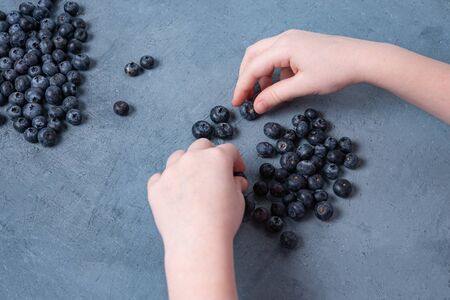 the child's hands collect fresh and juicy blueberries on a blue table. Top view anf flat layの写真素材