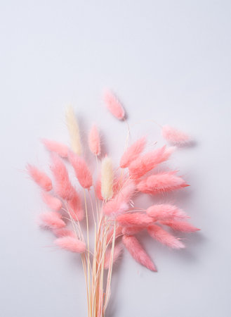 Beautiful bouquet of pink soft dried flowers on a gray  pastel background. Copy spaceの写真素材