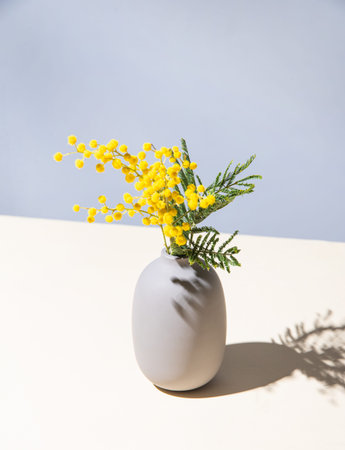 a bouquet of yellow mimosa flowers stands in a ceramic  vase with shadow on a yellow  and gray background. concept of 8 March, happy women's day. copy spaceの写真素材