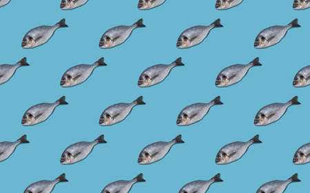 Creative seamless pattern with dorado fish on a blue background. Top viewの写真素材