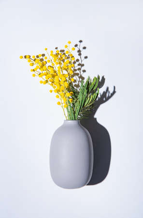 a bouquet of yellow mimosa flowers stands in a ceramic  vase with shadow on a gray  background. concept of 8 March, happy women's day. top view and copy spaceの写真素材