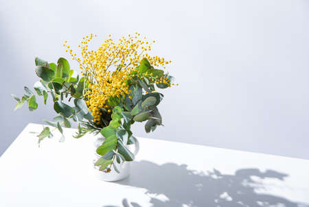 a spring bouquet with yellow mimosa flowers and eucalyptus branches stands on white table with shadow. concept of 8 March, happy women's day. Copy spaceの写真素材