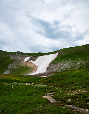 Beautiful summer landscape on a cloudy day with a river and snowy mountains. Russia, Adygea