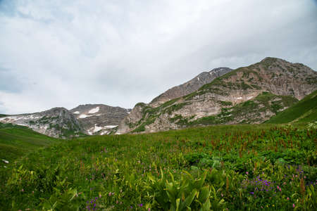 Beautiful summer landscape on a cloudy day in a mountain valley with flowers and snow. Russia, Adygeaの写真素材