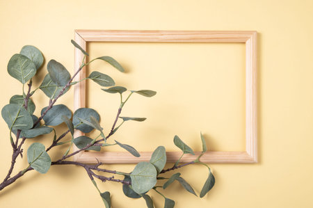 Branch  eucalyptus and wooden frame on yellow background. Top view and copy space