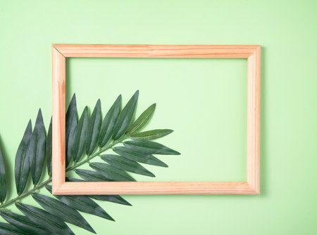 palm tree leaf and wooden frame on green background. Top view and space for textの写真素材