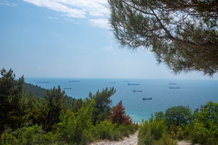 panorama of a beautiful sea landscape with ships on a sunny summer day. Krasnodar Krai, Russiaの写真素材