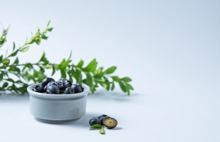 sweet fresh blueberries in a bowl with a green branch on a blue background. Front view and copy space imageの写真素材