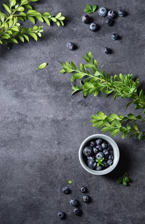 sweet fresh blueberries in a bowl  with green brunch on a dark gray background. Dark concept photo. Top view and copy space imageの写真素材